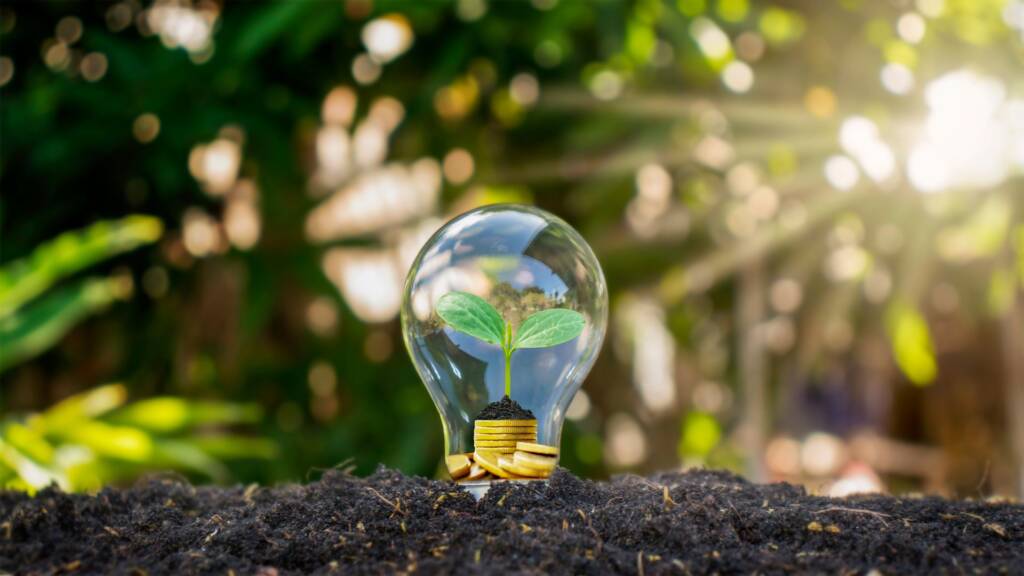 Energy Savings Opportunity Scheme (ESOS)