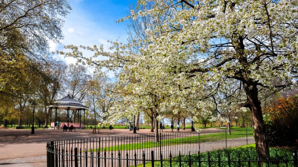 PSL Media Round Up Spring